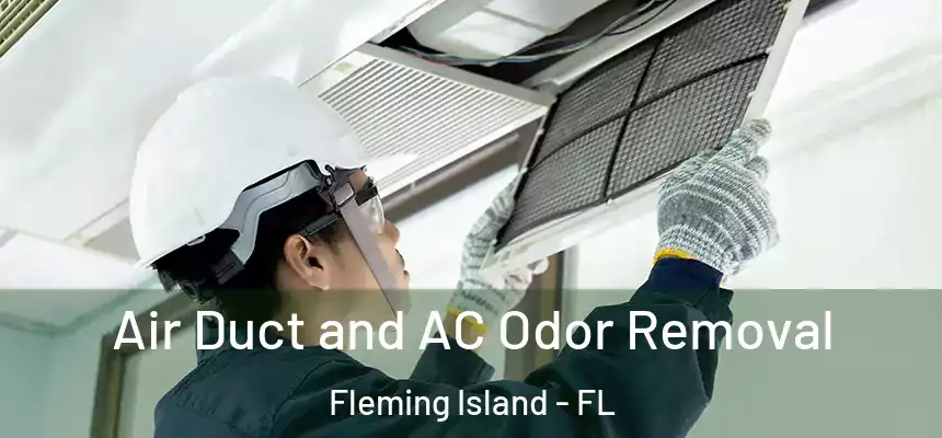 Air Duct and AC Odor Removal Fleming Island - FL