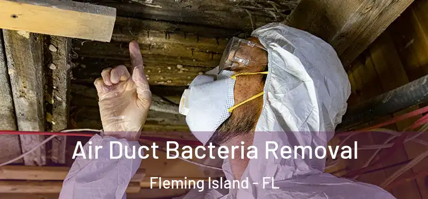 Air Duct Bacteria Removal Fleming Island - FL