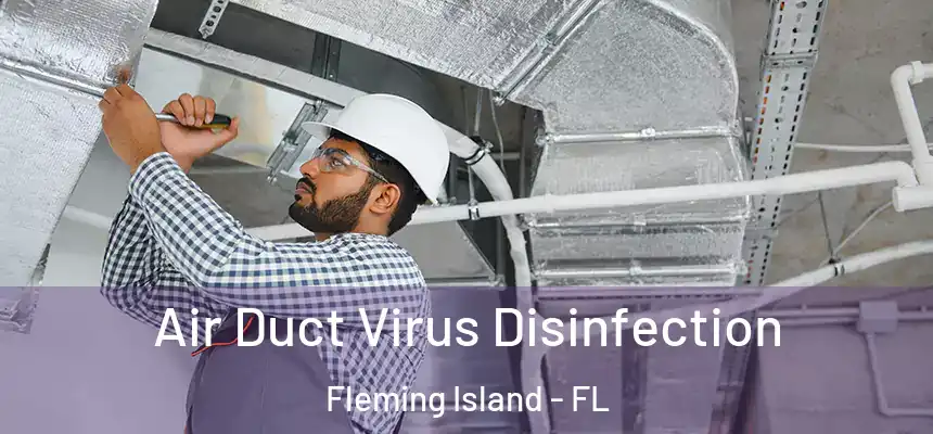 Air Duct Virus Disinfection Fleming Island - FL