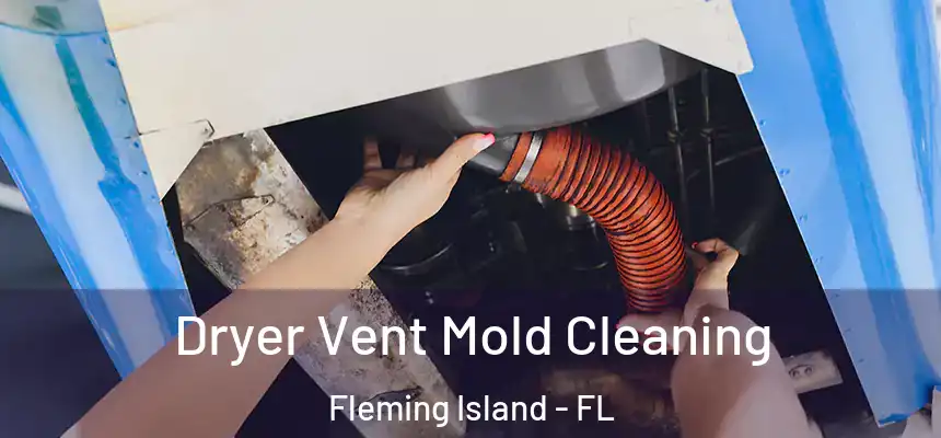 Dryer Vent Mold Cleaning Fleming Island - FL