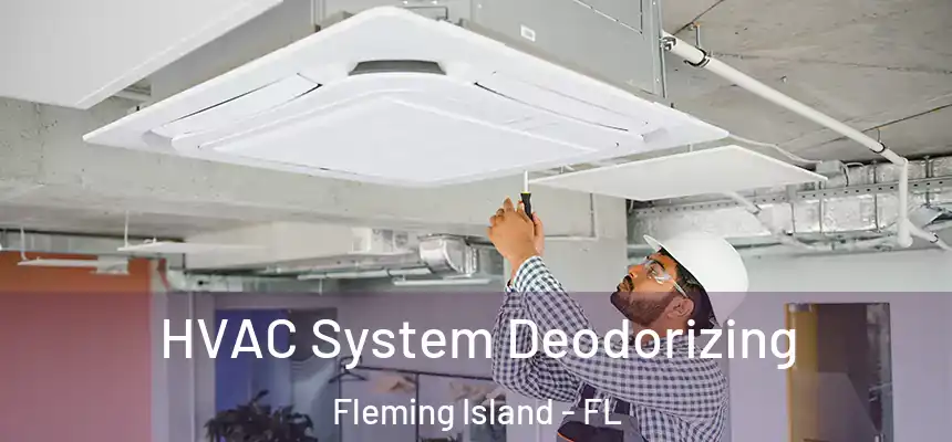 HVAC System Deodorizing Fleming Island - FL