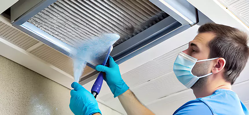 Proactive Dryer Vent & Auxiliary Duct Pollen Cleanup in Fleming Island, FL