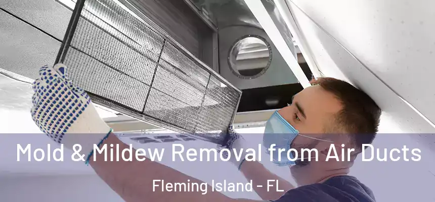 Mold & Mildew Removal from Air Ducts Fleming Island - FL