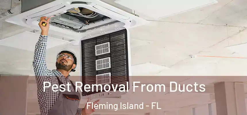 Pest Removal From Ducts Fleming Island - FL