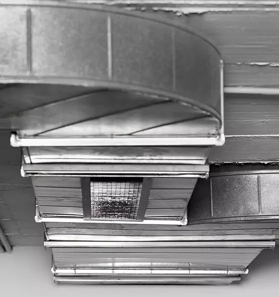 Professional Air Duct Pet Hair Removal in Fleming Island, FL