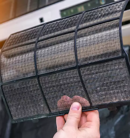 About Pet Dander Duct Cleaning in Fleming Island, FL